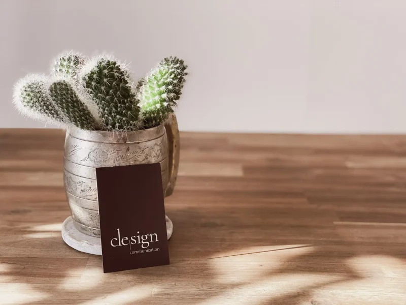 Clelia Beck | clesign communication Kontakt